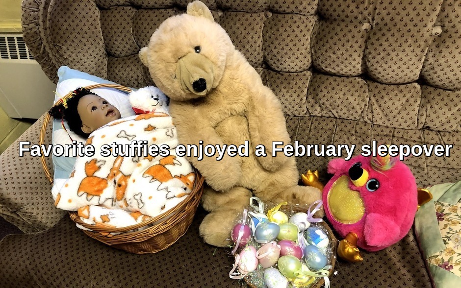 Favorite dolls and stuffed animals "slept over" at the UUCNC meetinghouse in February.